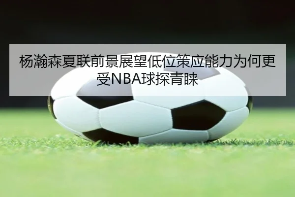 杨瀚森夏联前景展望低位策应能力为何更受NBA球探青睐